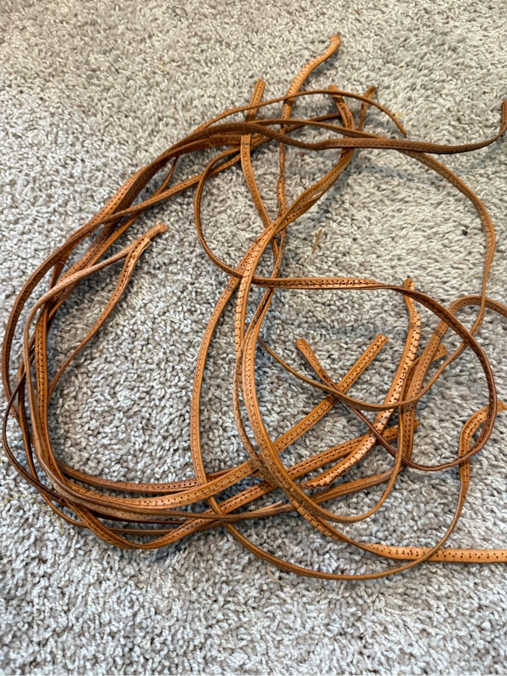 Louis Vuitton bag trim H38